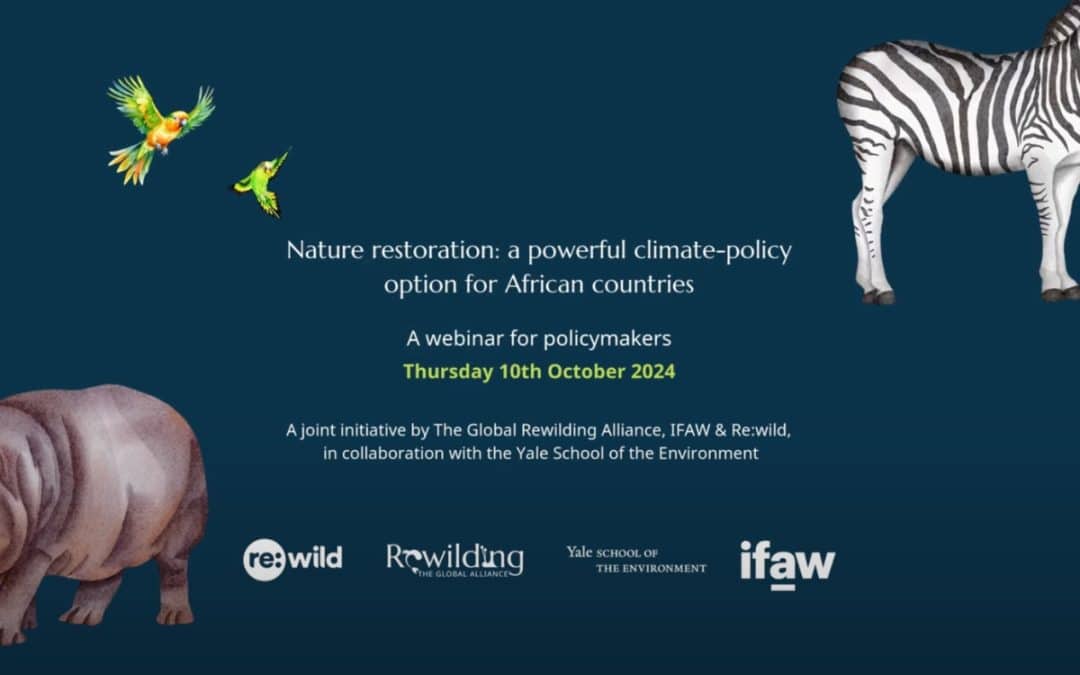 Nature restoration: a powerful climate-policy option for African countriesOctober 2024