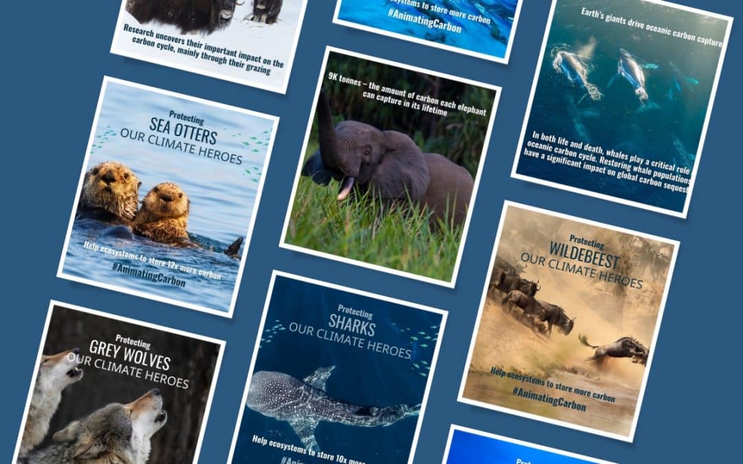 Climate Heroes – Download & Share