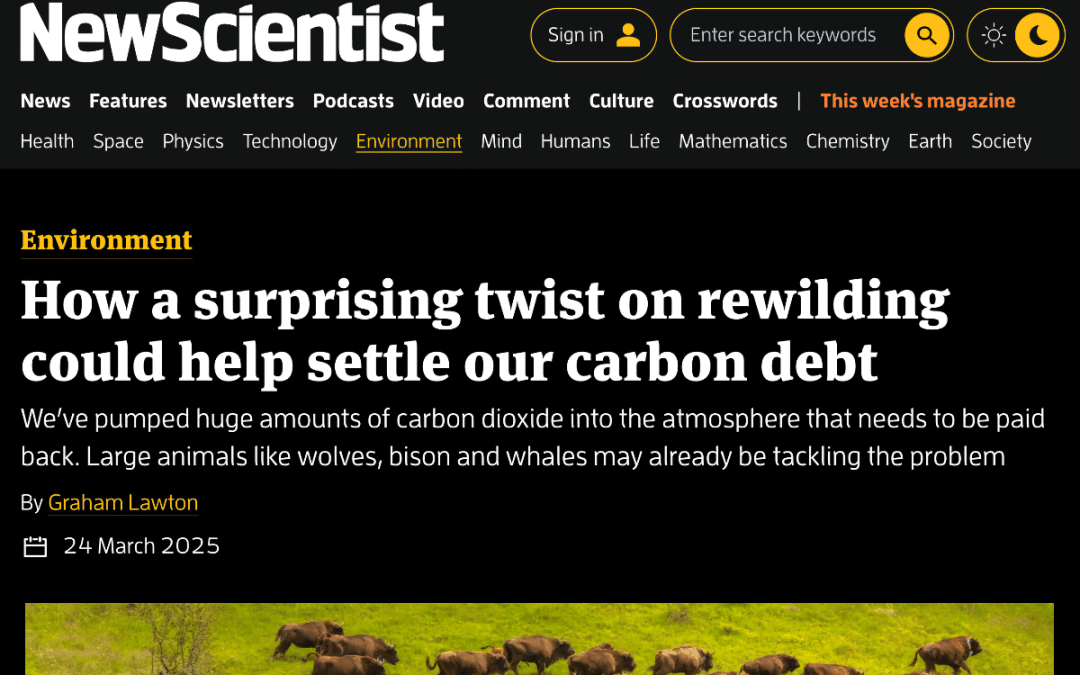 New Scientist – Rewilding the Climate