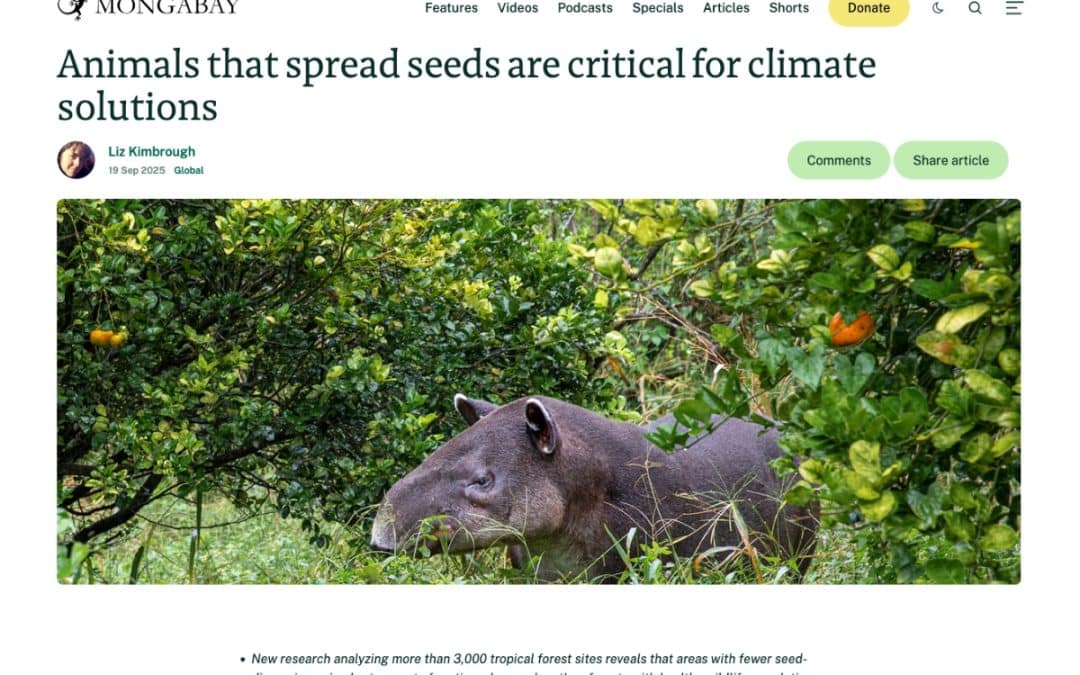 Wildlife spreads seeds, enabling tropical forests to capture more carbon – Mongabay